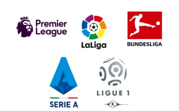 球迷的支持 球迷的支持